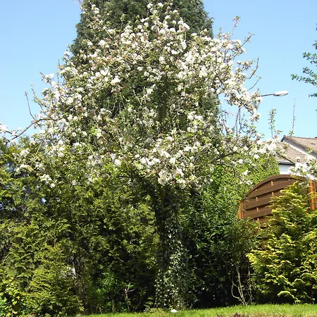 Graf Rolshausen فندق مونشاو