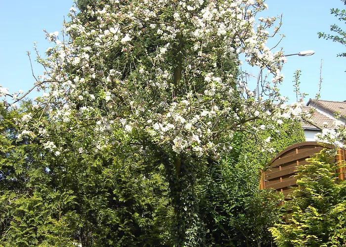 Graf Rolshausen Hotel Monschau